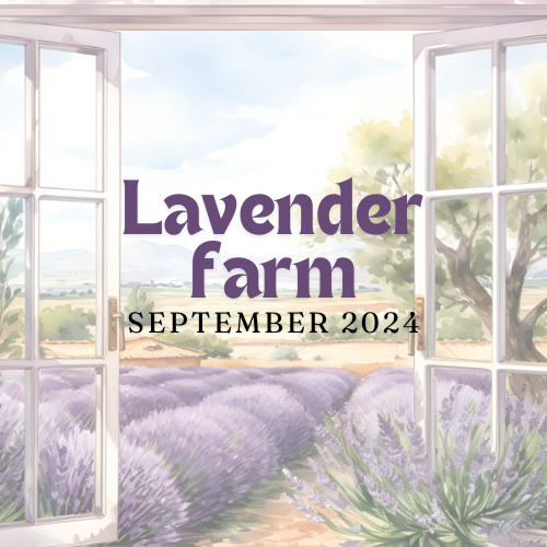 Lavender Farm - Sept 2024