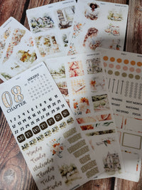 2025 Aug | Country Side | MYSTERY KIT