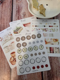 April 2026 | Life in a Cottage | Junior Kit