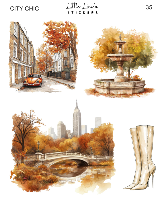 MSS | City Chic | 35