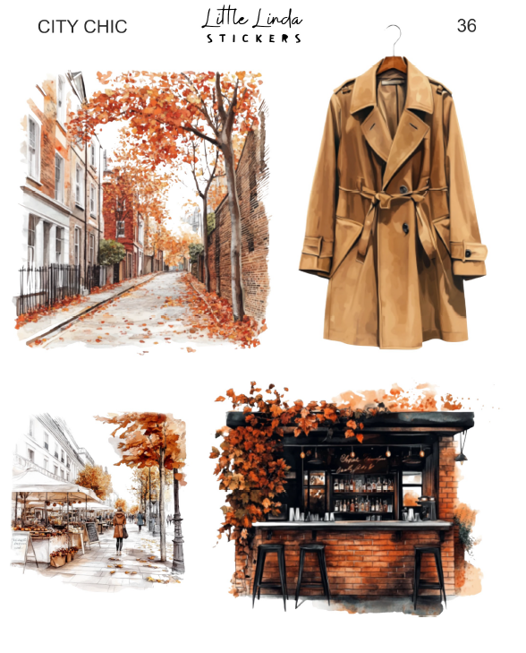 MSS | City Chic | 36