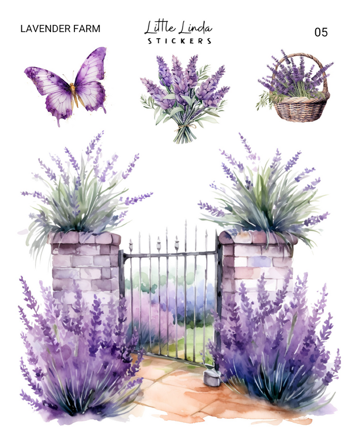 Lavender Farm | 05 - 08