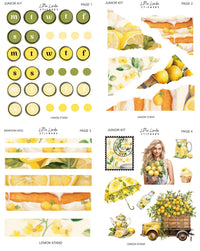August 2026 | Lemon Stand | Junior Kit